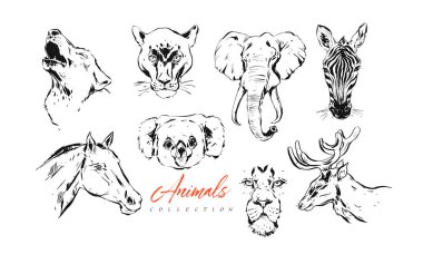 Çizilmiş vektör soyut sanat mürekkep dokulu grafik kroki çizim resimler koleksiyonu kümesi bohça-in hayvan zebra, aslanı, puma, koala, kurt, at ve geyik kafaları beyaz arka plan üzerinde izole el