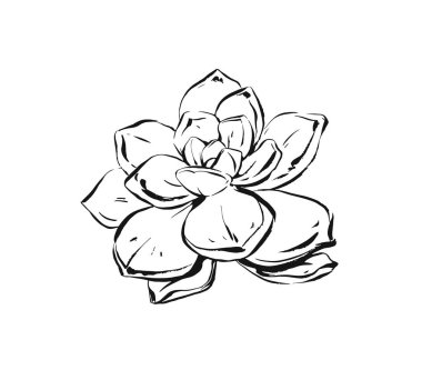 Çizilmiş vektör dokulu soyut sanat mürekkep grafik kroki çizim çizim sulu kaktüs çiçek beyaz arka plan üzerinde izole el