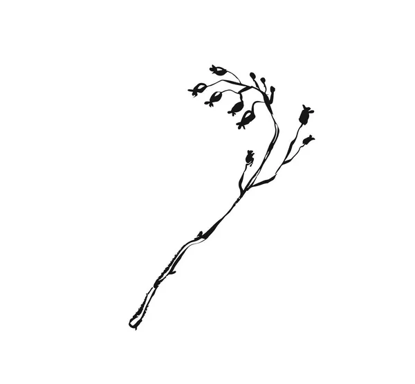 Vettore disegnato a mano astratto inchiostro artistico strutturato grafico schizzo disegno illustrazione di rustico primavera fiore ramo pianta isolato su sfondo bianco — Vettoriale Stock