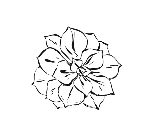 Dessiné à la main vecteur abstrait encre artistique texturé croquis graphique dessin illustration de plante de cactus succulent fleur isolée sur fond blanc — Image vectorielle