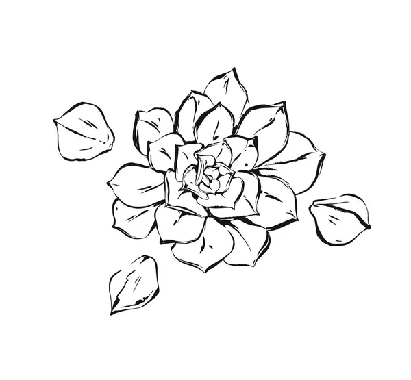 Ручной рисунок векторных абстрактных художественных чернил текстурированный графический эскиз рисунок сочного цветка кактуса растение изолированы на белом фоне — стоковый вектор