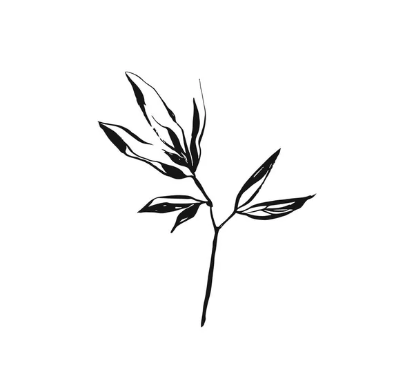 Hand getekende vector abstracte artistieke inkt getextureerde grafische schets tekening illustratie van rustieke voorjaar bloem verlaat tak plant geïsoleerd op witte achtergrond — Stockvector