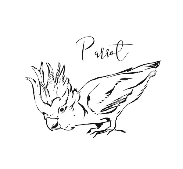 Vetor desenhado à mão tinta artística abstrata desenho gráfico texturizado ilustração de papagaio exótico tropical isolado sobre fundo branco —  Vetores de Stock