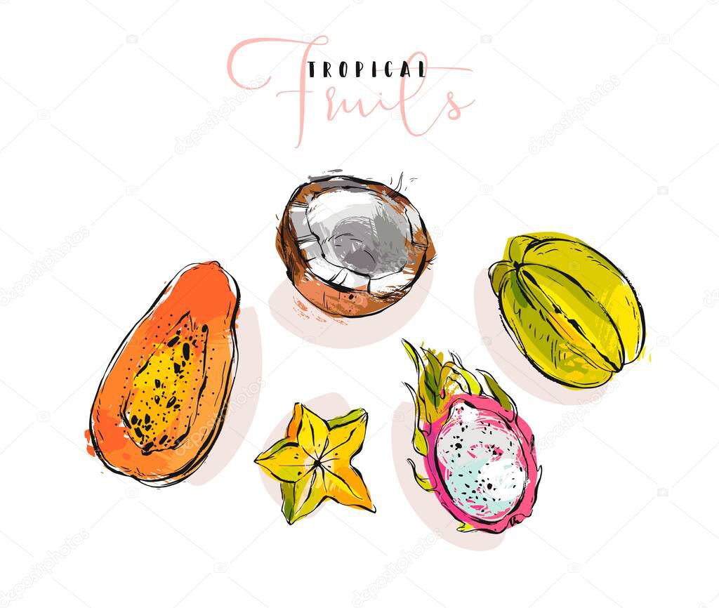 Hand drawn vector graphic abstract artistic exotic fruits illustrations collection set with coconut,papaya,dragon fruit and carambola isolated on white background.