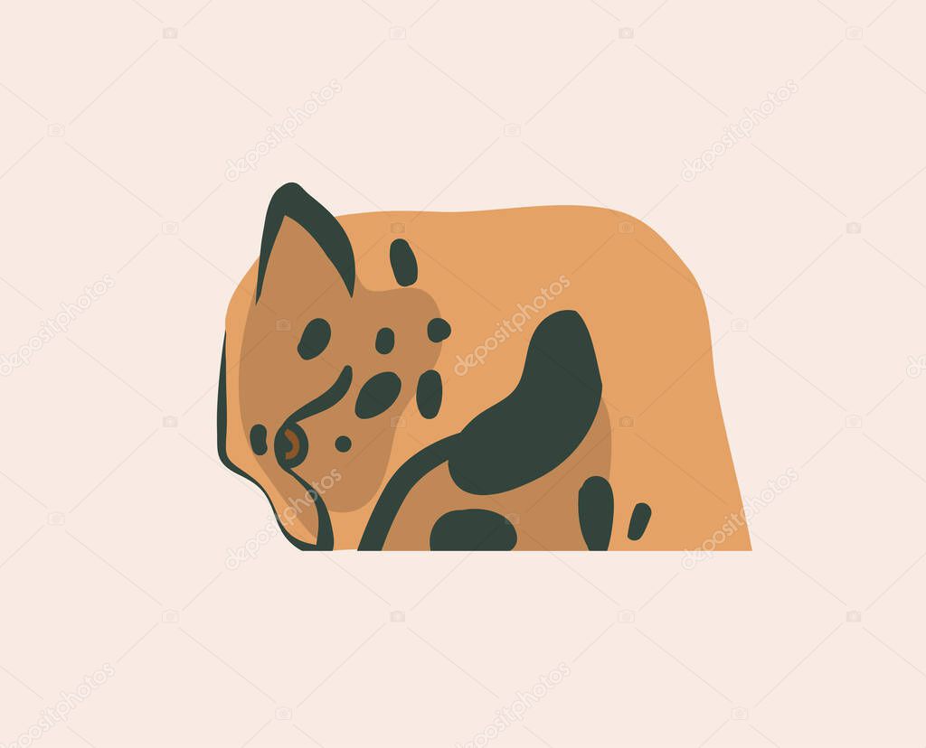 Hand drawn flat vector stock abstract graphic illustration with African wild cheetah head cartoon animal logo branding design elements isolated on pastel background