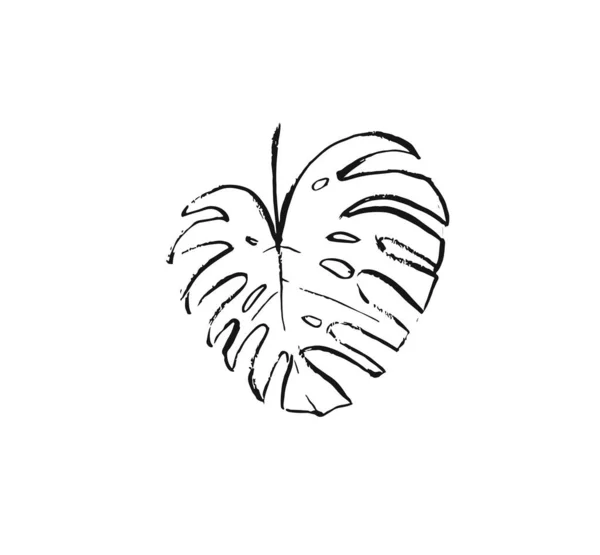 Χειροποίητο διάνυσμα αφηρημένο μελάνι σχέδιο εικονογράφηση σκίτσο εικόνα με τροπικά εξωτικά φύλλα φοίνικα monstera απομονώνονται σε λευκό φόντο — Διανυσματικό Αρχείο