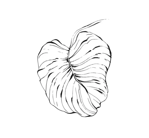 Vetor desenhado à mão tinta abstrata desenho gráfico desenho ilustração ícone com tropical folha de palma exótica isolado no fundo branco —  Vetores de Stock