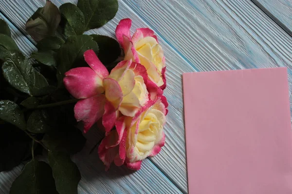 Beautiful roses and pink blank sheet of paper.