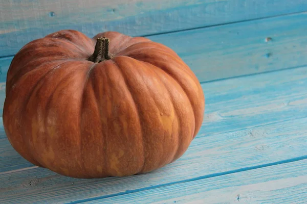 Big Pumpkin Lays Blue Wooden Background — Stock Photo, Image