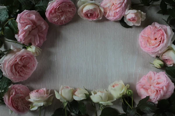 Roze Rozen Liggen Vorm Van Een Frame Tafel — Stockfoto