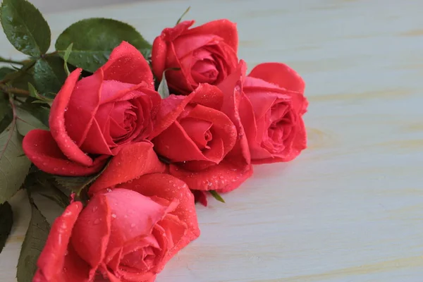 Egy Csokor Vörös Rózsa Fekszik Egy Könnyű Felületen — Stock Fotó