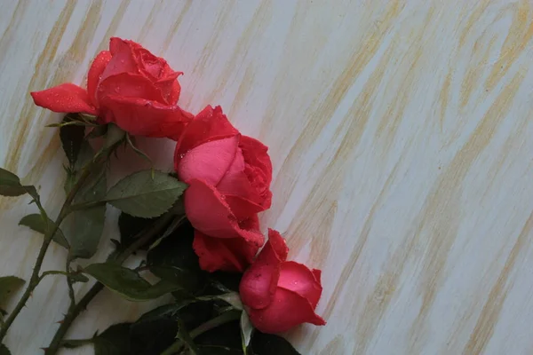 一束红玫瑰躺在轻盈的木制表面上 — 图库照片