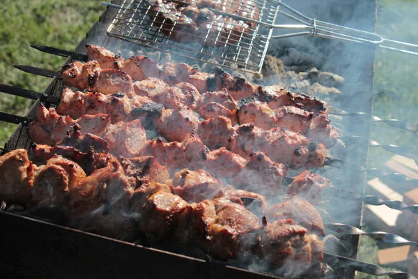 Barbecue Skewers Sausages Grill Prepared Grill Picnic — Stock Photo, Image