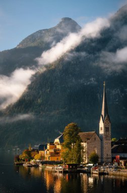 Avusturya Alpleri'nde Hallstattersee gölde sabah çalılar ve çiçekler ön plan Salzkammergut bölge, Avusturya ile sonbaharda ışık yansıtan ünlü Hallstatt lakeside şehrin doğal görünümü