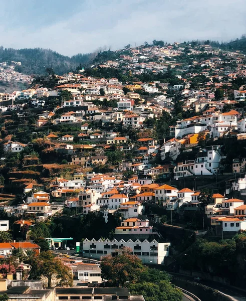 Houses on the hill are located in a row. Cityscape of Funchal, Madeira, Portugal