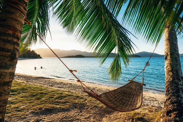 Hammock between two palm trees on the beach at sunset — Stock Photo, Image