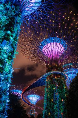 Singapur'da gece koyunda Garden Dev ağaçların Işık gösterisi.