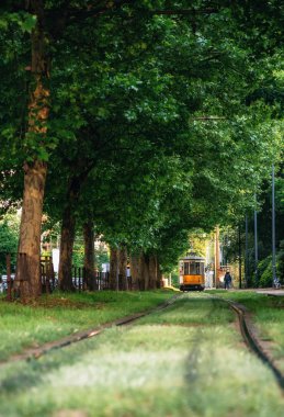 Eski tramvay Milano, İtalya yeşil orman geçer