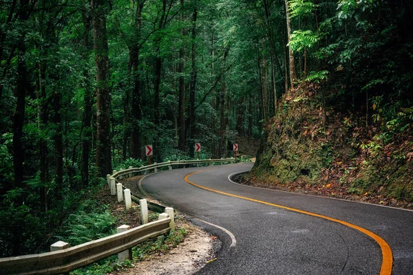 Estrada sinuosa em Bohol, Filipinas — Fotografia de Stock