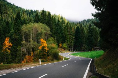 Alpler'de yoğun ormanda dolambaçlı yol, Avusturya