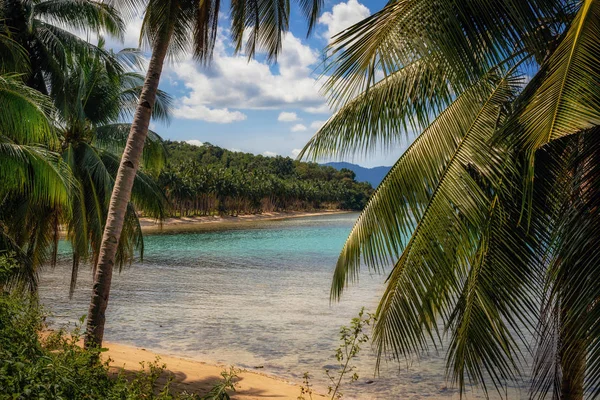 Palmeiras na praia de coco em Port Barton, Palawan, Filipinas — Fotografia de Stock