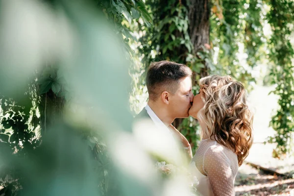 Portré csók pár a kertben. — Stock Fotó
