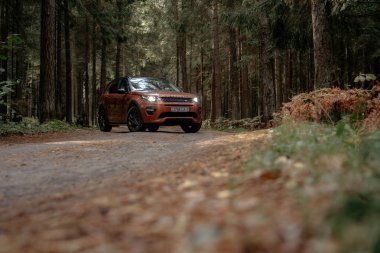 Land Rover Discovery Sport sonbahar yoğun orman ormanda