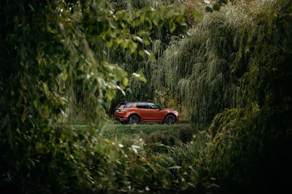 Land Rover Discovery Sport sonbahar yoğun orman ormanda — Stok fotoğraf