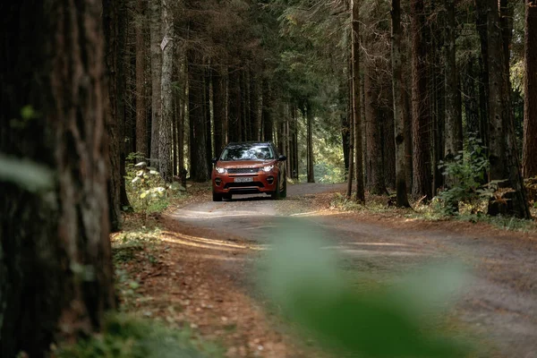 Land Rover Discovery Sport v podzimní lesním lese — Stock fotografie