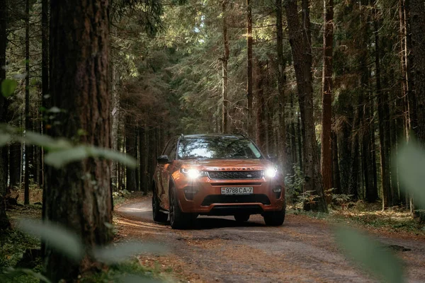 Land Rover Discovery Sport en otoño bosque denso — Foto de Stock