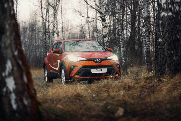 Brest Bielorrusia Febrero 2020 Toyota 2019 Paisaje Forestal Otoño — Foto de Stock
