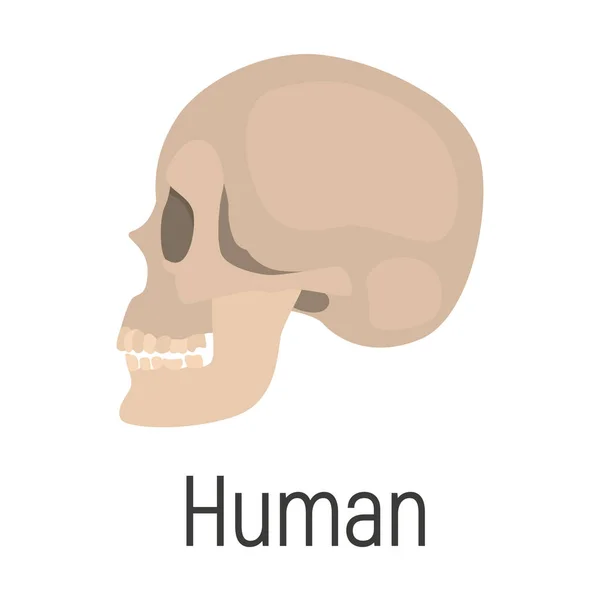 Huan Skull Color Vektorsymbol Flache Bauweise — Stockvektor