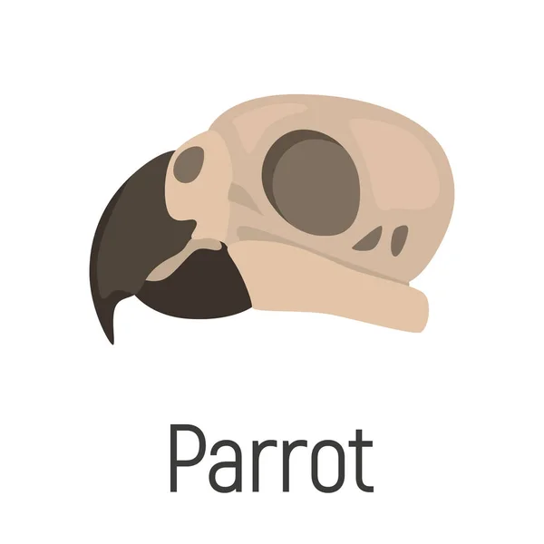 Papoušek Lebka Barvu Vektorové Ikony Plochý Design — Stockový vektor
