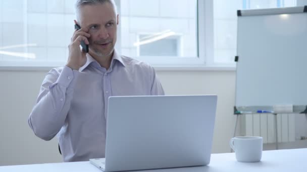 Empresario de mediana edad hablando por teléfono, discutiendo el trabajo — Vídeos de Stock