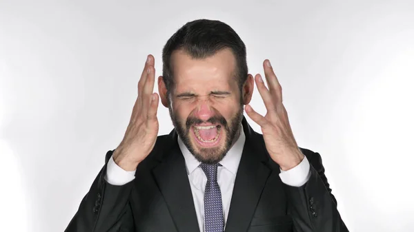 Retrato Barba Gritando Empresário Enlouquecendo — Fotografia de Stock