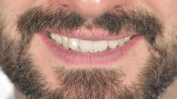 Close Smiling Lips Beard Man White Background — Stock Photo, Image