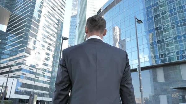 Walking Businessman, Back view