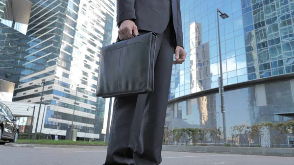 Standing Businessman with Briefcase in Hand