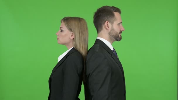 Professionnels d'affaires masculins et féminins debout avec les bras croisés contre Chroma Key — Video