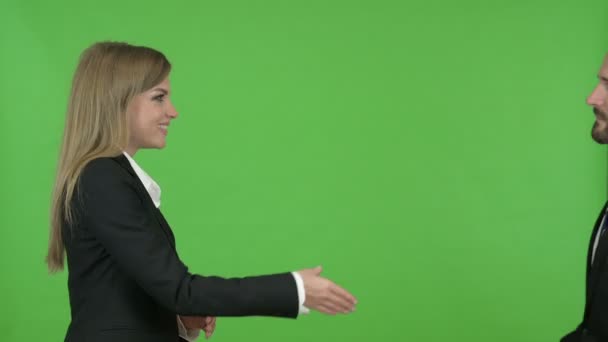 Mannelijke en vrouwelijke zakelijke professionals schudden handen tegen Chroma Key — Stockvideo