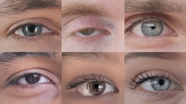 Collage de Ojos Parpadeantes, Primer plano — Vídeos de Stock