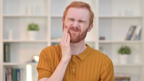 Portrait d'homme rousse attrayant ayant ayant mal aux dents — Video