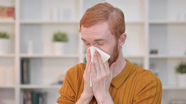 Portrait of Sick Redhead Man Sneezing — Stock Photo, Image