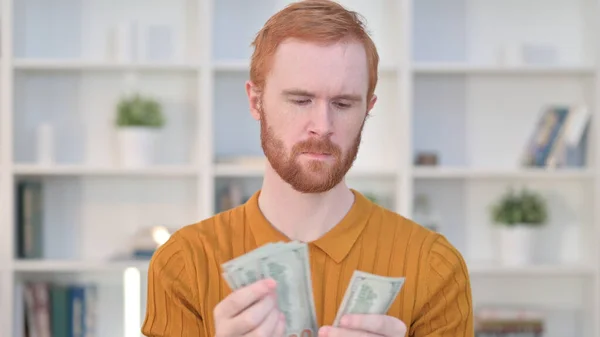Porträt eines fokussierten Rotschopfes beim Dollarzählen — Stockfoto