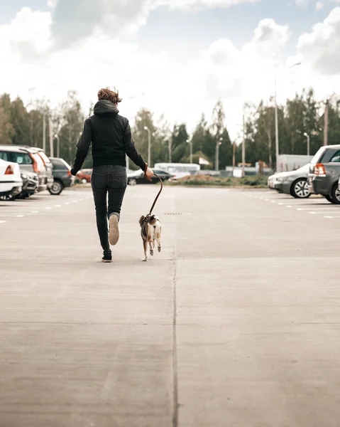 Flicka Springer Med Hund Vägen — Stockfoto