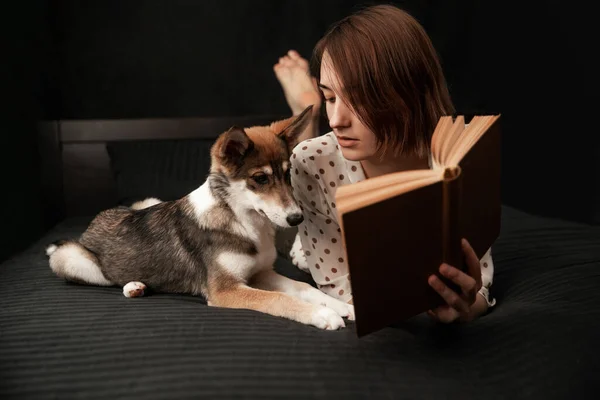 若いです女の子見ますでA犬読みますA本しばらくベッドに横たわって — ストック写真