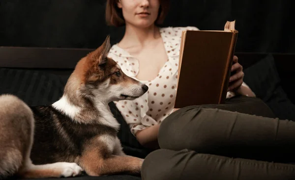 女の子はベッドに横たわって犬のための本を読んで — ストック写真