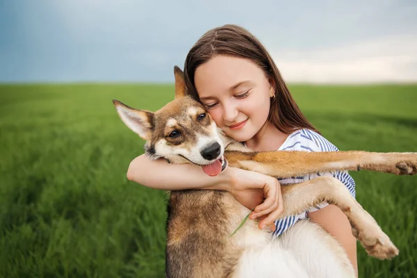 Girl hugs a dog. Child with a dog in the field