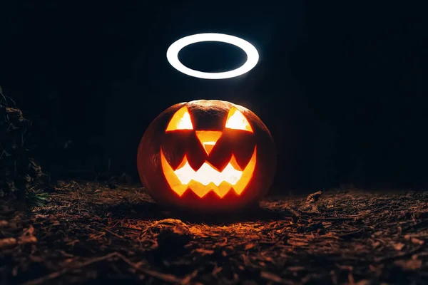 Calabaza Halloween Con Halo Brilla Bosque Nocturno Otoño — Foto de Stock