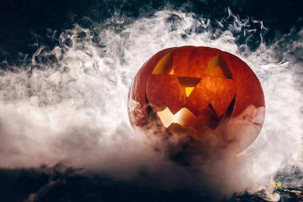 Halloween Dynia Dymie Nocy Jesienny Las — Zdjęcie stockowe